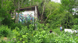 Moulsecoomb Forest Garden