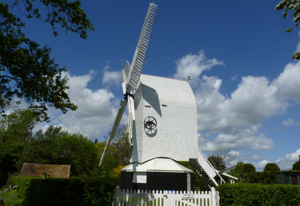 Brighton and Hove News » Baron found hiding in a Brighton Windmill