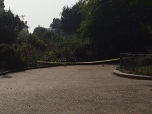 Eight bailed over Pavilion Gardens stabbing