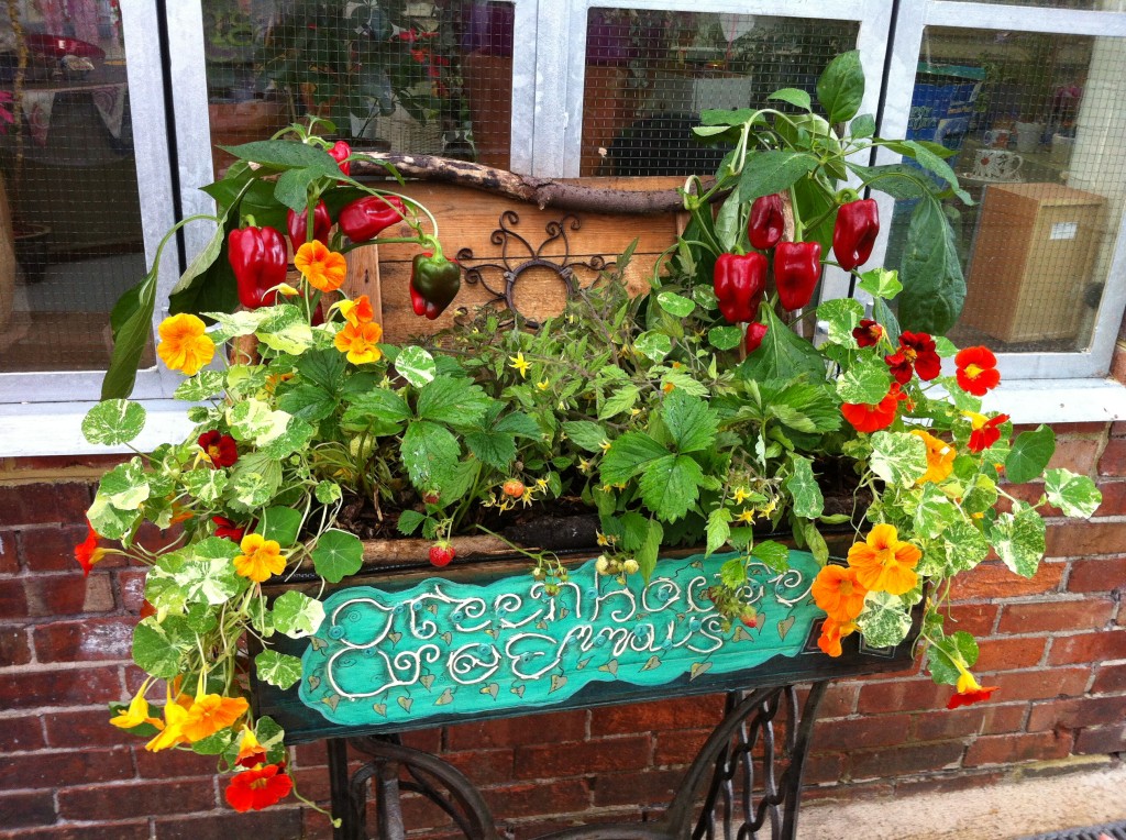 Most Innovative Emmaus Portslade Brighton and Hove News