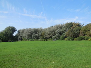 Vale Park in Portslade. Image by Paul Gillet taken from www.geograph.org.uk