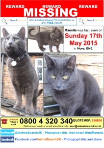 Marmite's poster djm