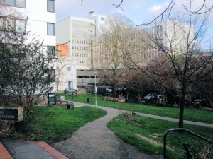 Brighthelm Gardens by Paul Gillet from www.georgraph.org.uk