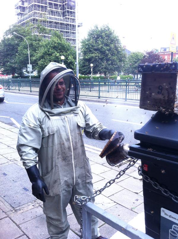 City bee swarms soar as balmy weather hits Brighton and Hove