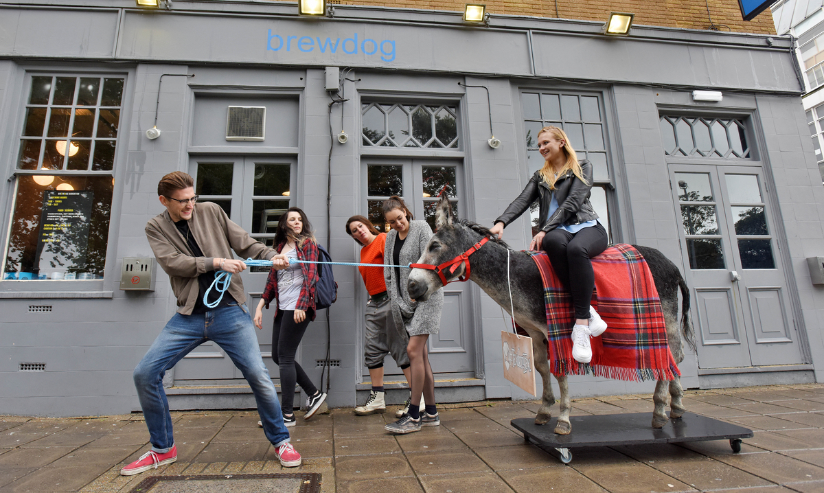 New Brighton bar to drop drinkers off on a dead donkey