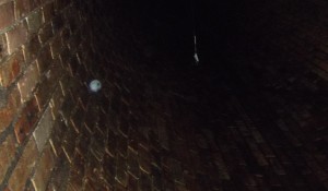 Callum Bignall's photo with the suspicious orb