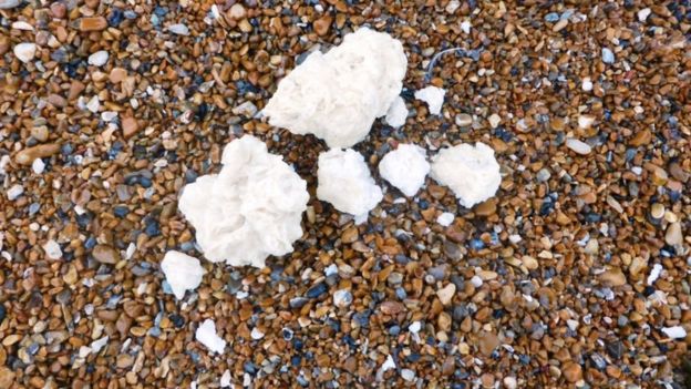 Warning to Brighton and Hove dog walkers as palm oil is washed up on beaches