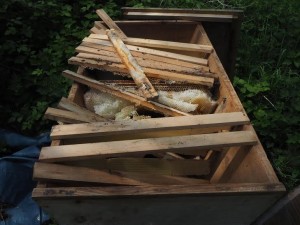 Bevendean Community Garden vandalised bee hive 3