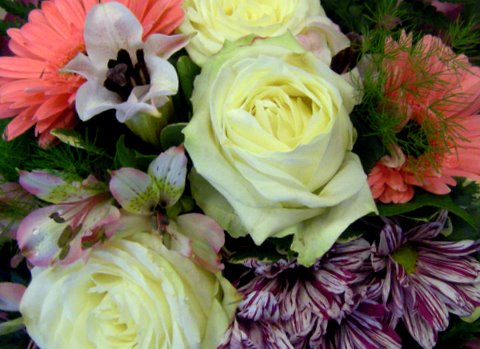 Police try to trace Good Samaritan who helped pursuit of burglary suspect to send her flowers