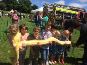 Bilingual Primary School summer fair 2016-3
