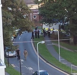 donald-hall-road-by-jess-aimee-warren