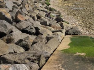 The wheelchair was stuck on the rocks close to the pebbles