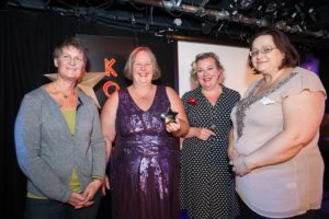 community-works-sector-stars-awards-2016-7
