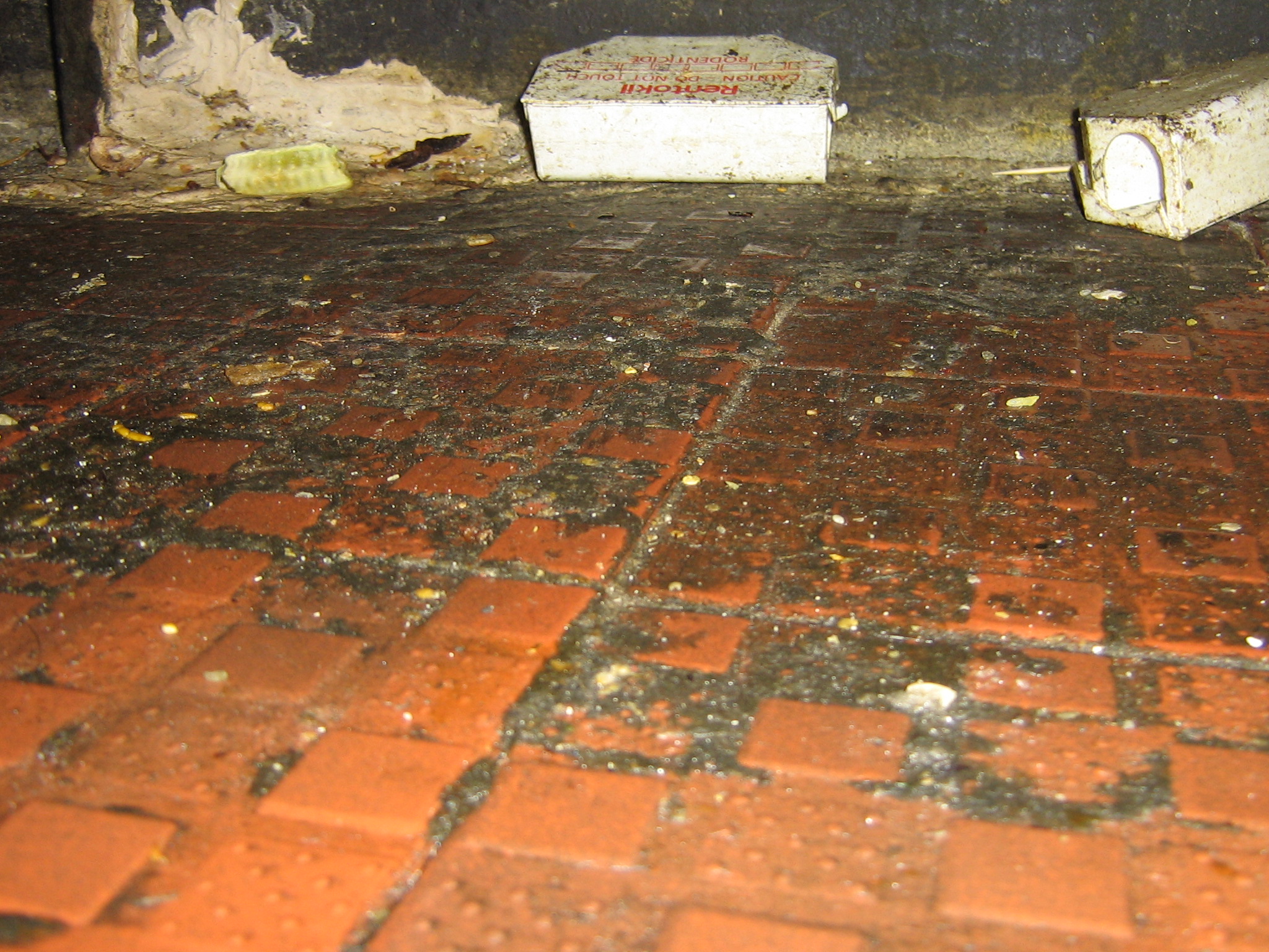 Owner of one of Brighton’s most filthy takeaways banned from working with food