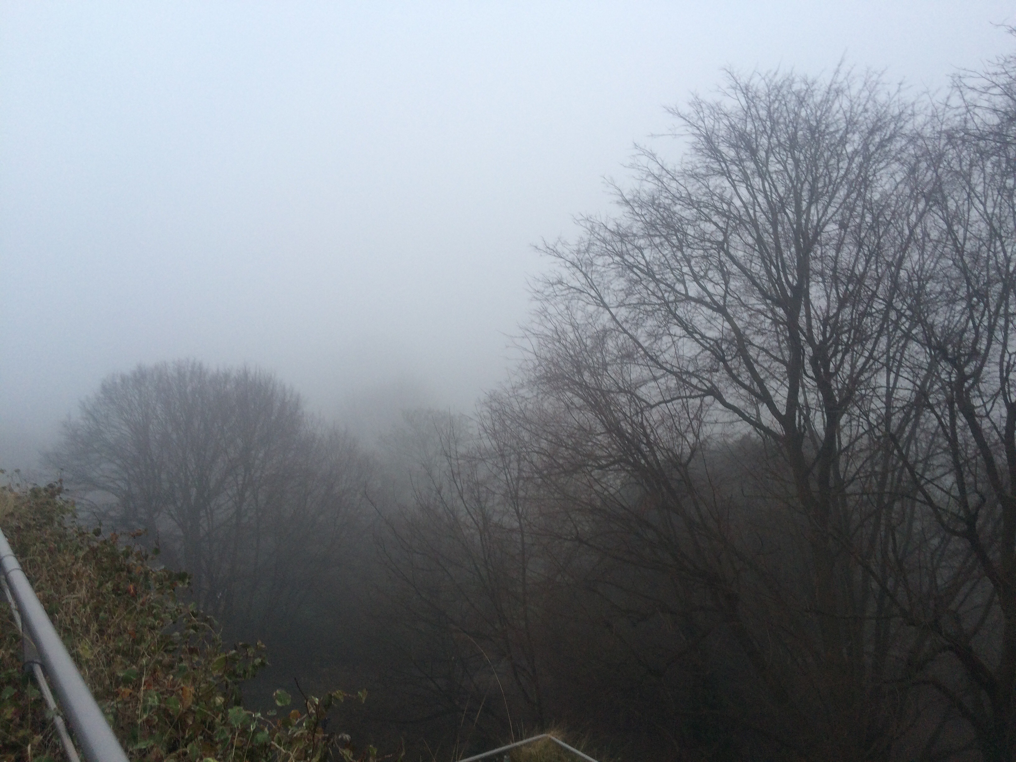 Brighton and Hove enveloped by thick fog