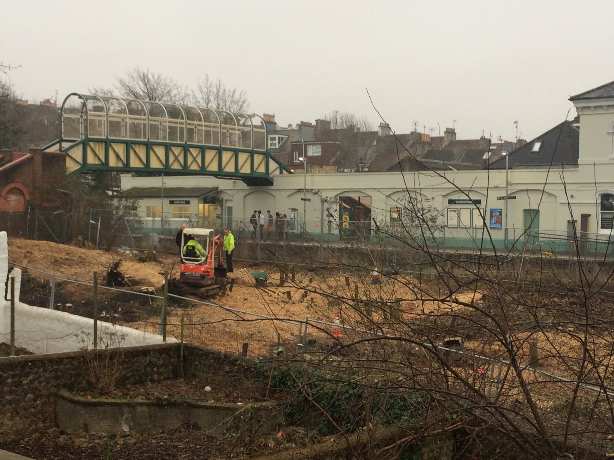 Developer who cleared railway allotment site told he must still relocate protected slow worms – and could be breaking the law