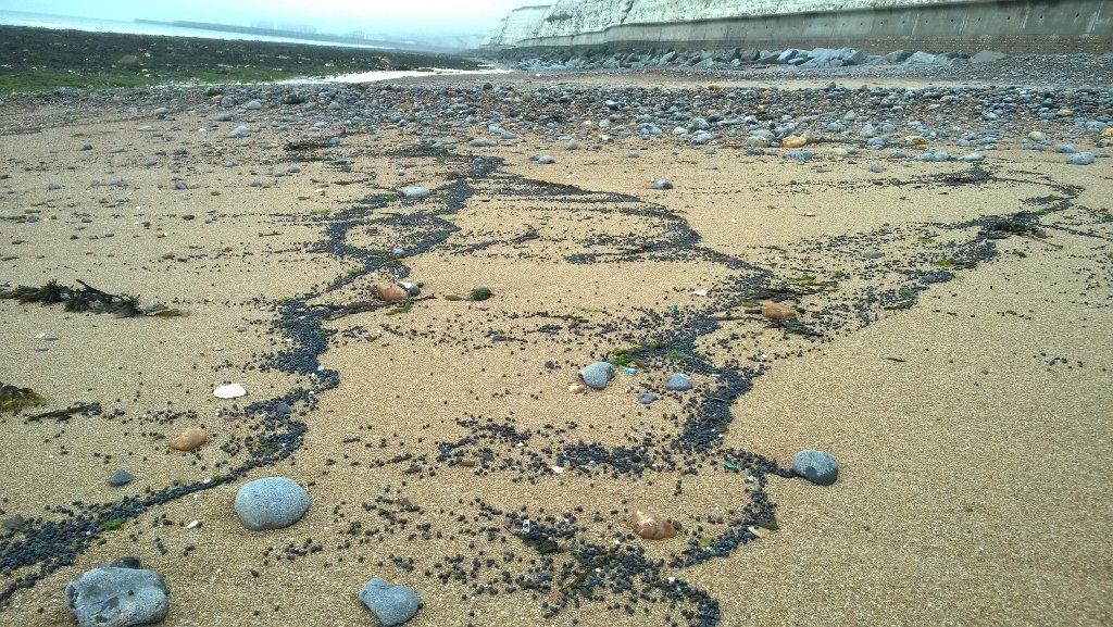Thousands of plastic nurdles washed up on city beaches