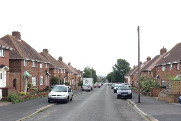 Police investigate claims of racism after dogs accused of killing neighbour’s cat in Hove