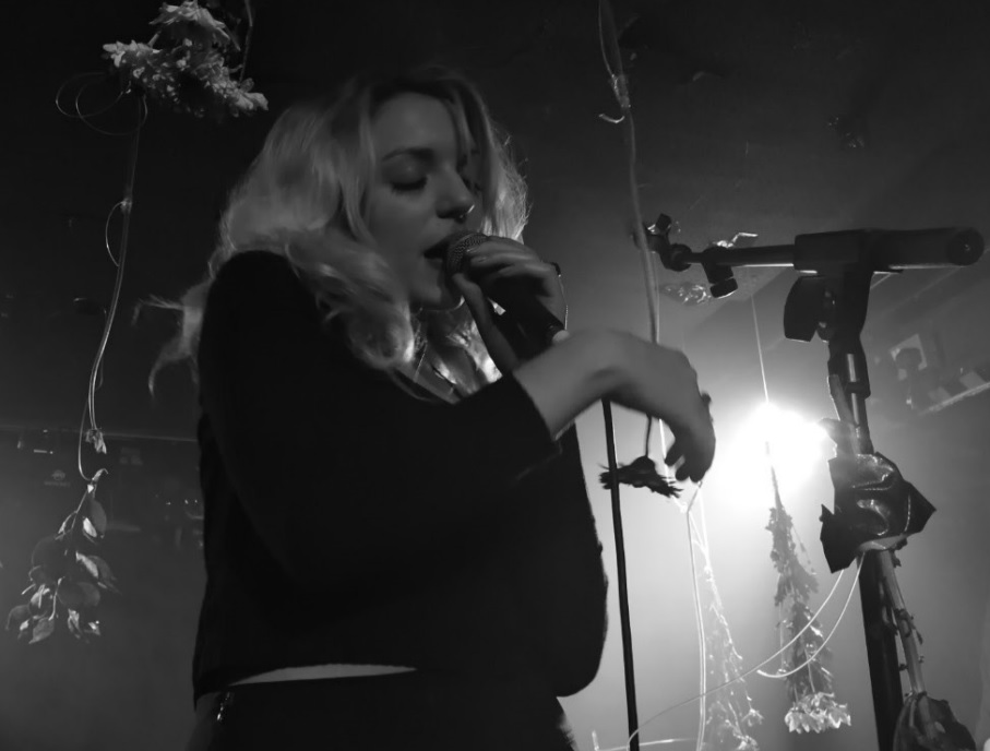 Brighton ‘Food-for-entry’ concert – a resounding success