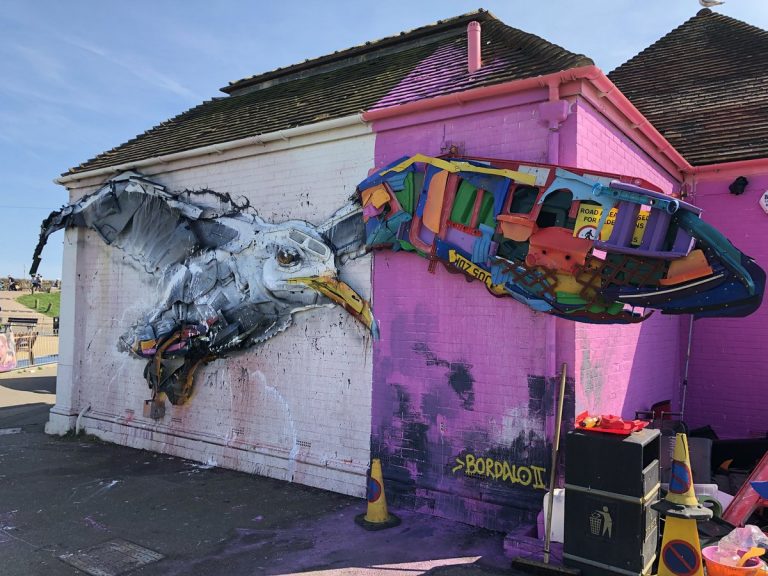 Rubbish seagull lands at Hove Lagoon Brighton and Hove News