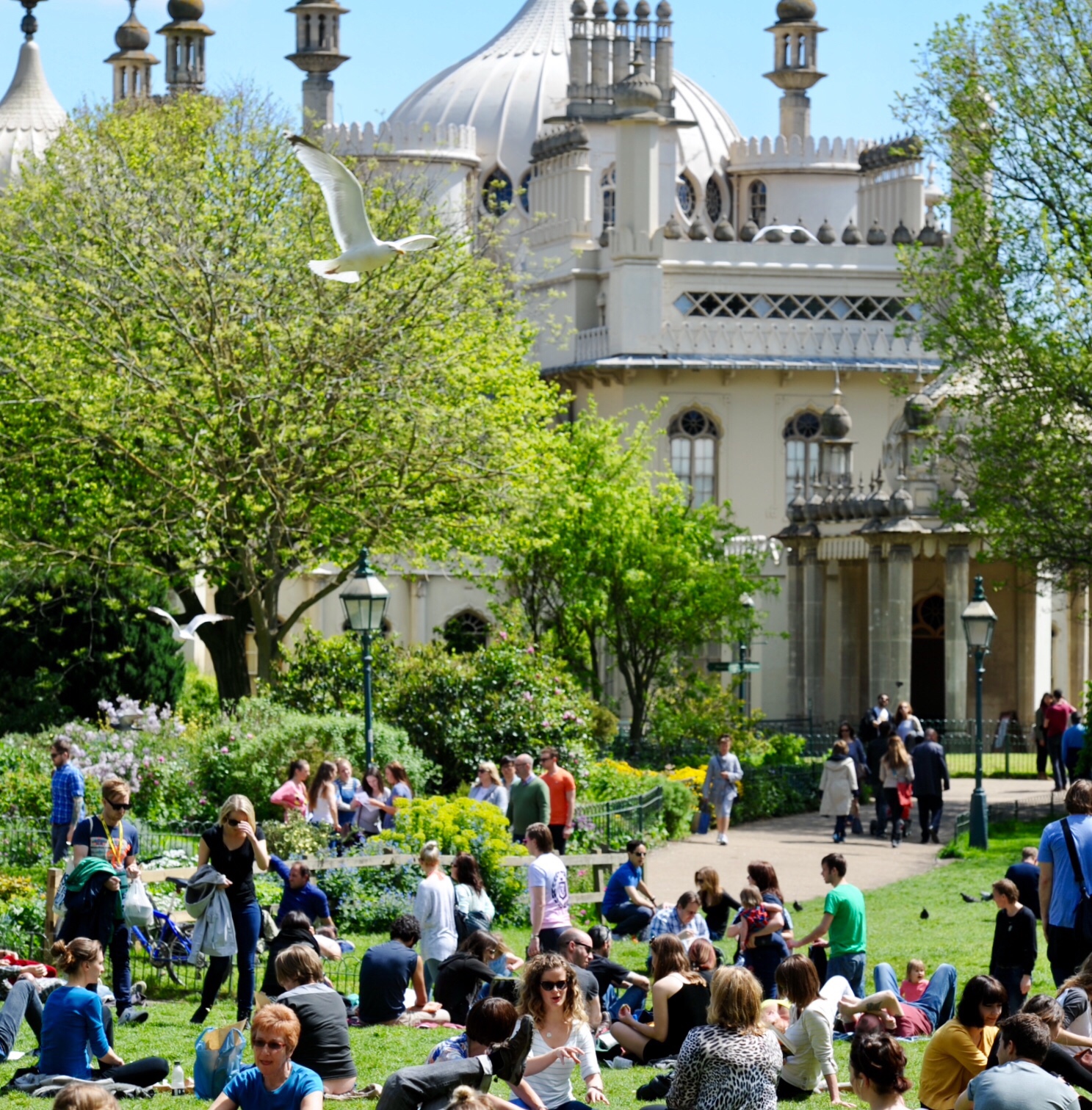 Sex, drug-taking and fights spur plans to fence off Royal Pavilion gardens and close them at night
