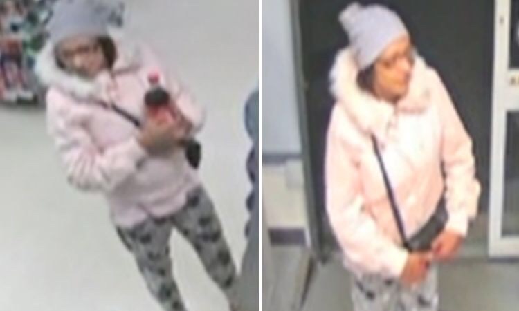 Woman caught on film stealing purse from Brighton flat