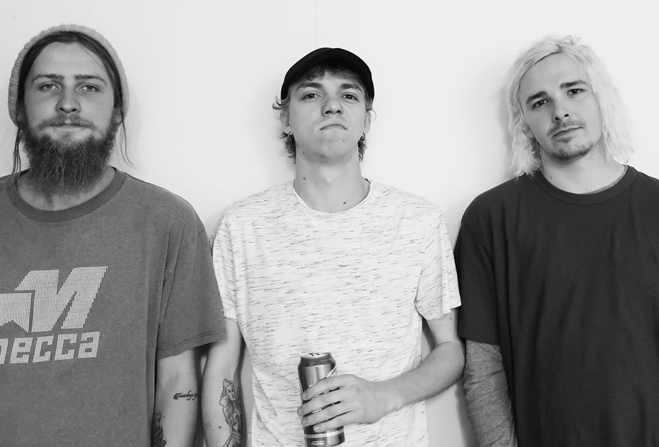 Five Kites flying high in Brighton