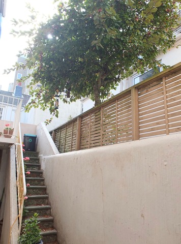 Neighbours campaign to save fruit tree