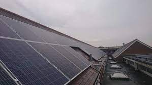 Queen honours Brighton and Hove renewable energy champion