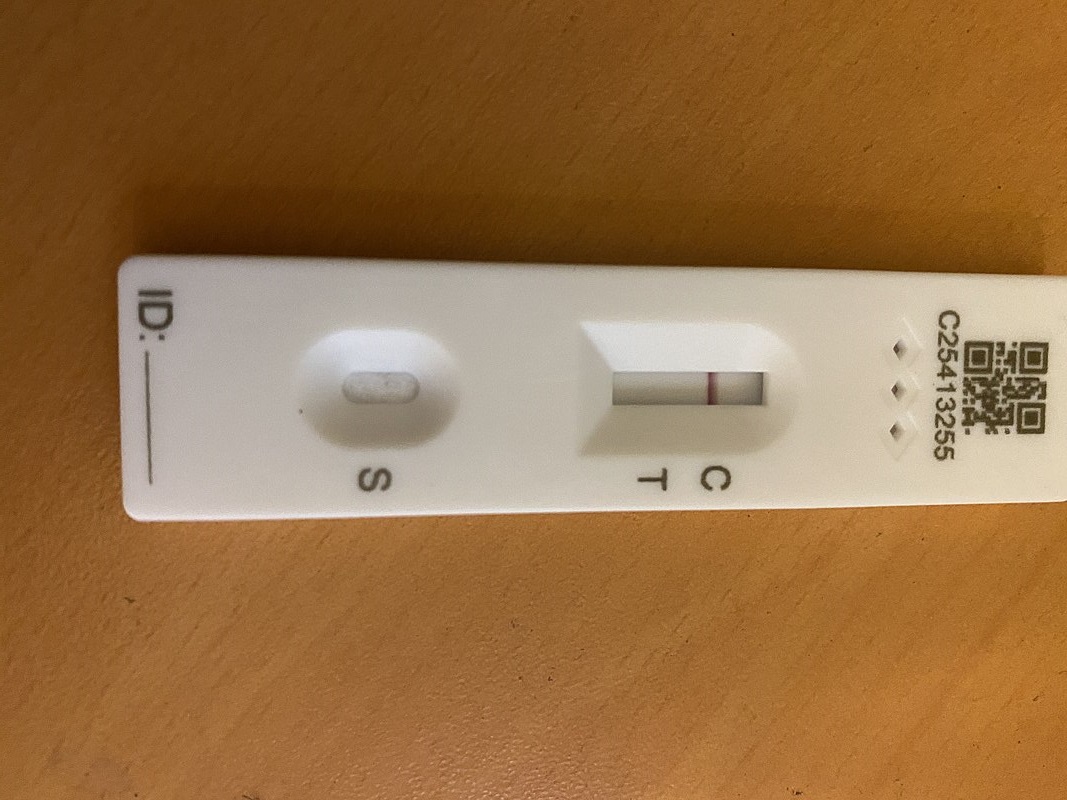 Bursting bubbles: Hundreds of Brighton school children forced into self-isolation