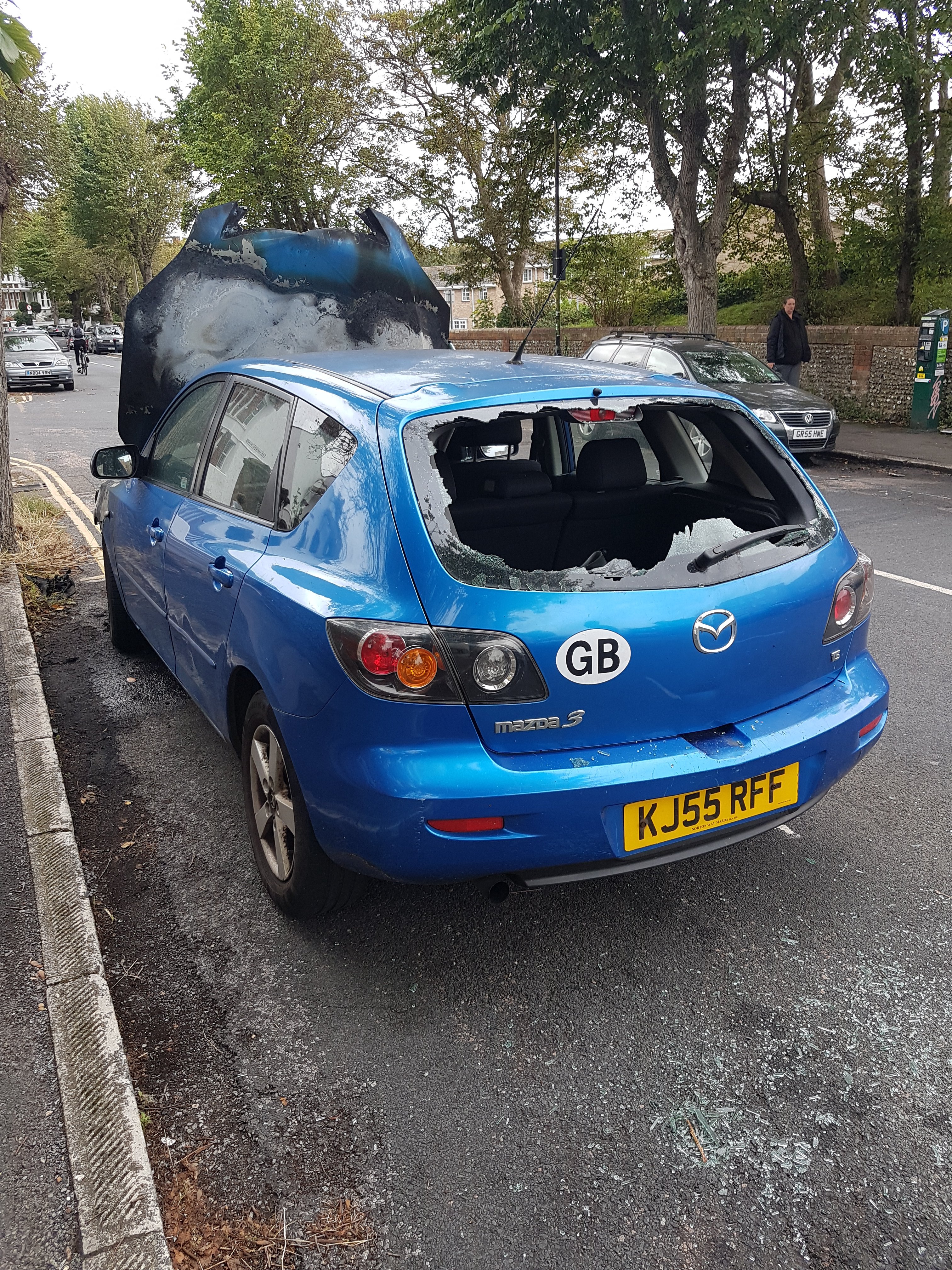 Arson and vandalism around Brighton Park not linked, police say