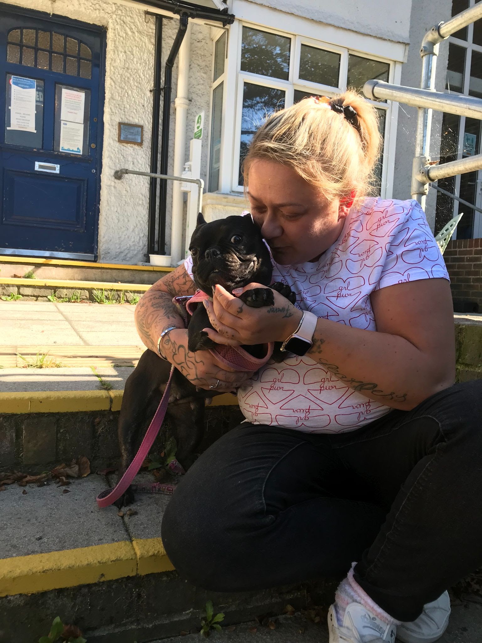 Stolen French bulldog found in Brighton