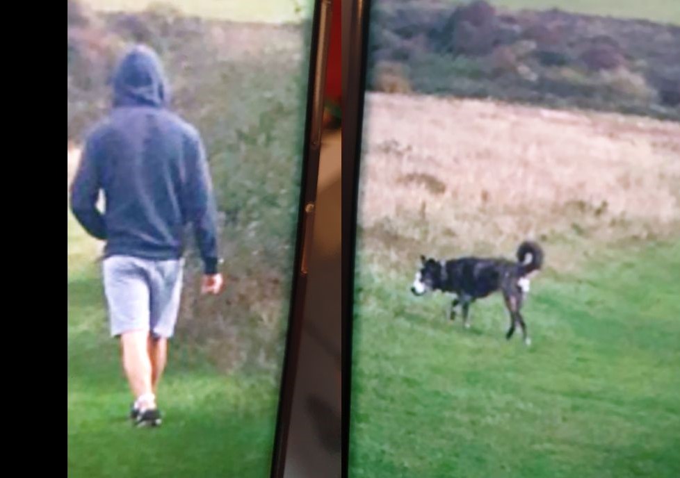 Dog-walking flasher prowls Brighton park