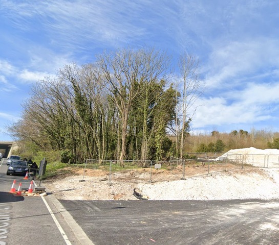 More trees to be felled at site of new flats in Brighton