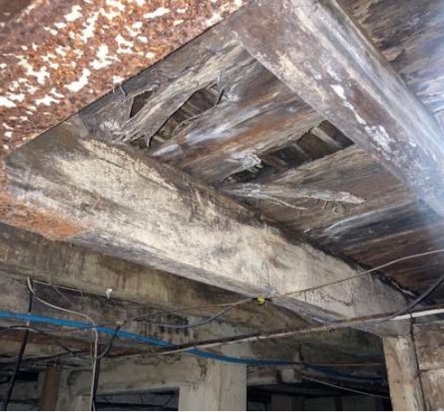 Hippodrome dry rot is ‘depressingly widespread’