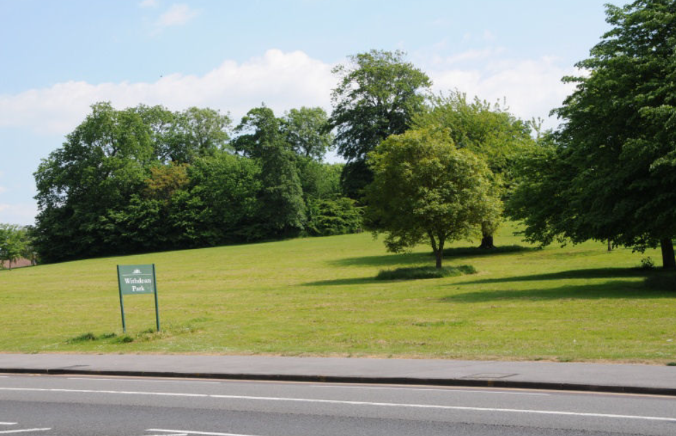 More than 100 diseased trees to be felled in Brighton park