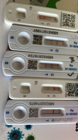 Ending free testing ‘reckless’ says council leader