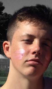 Brighton football fan banned for punching steward at Palace match