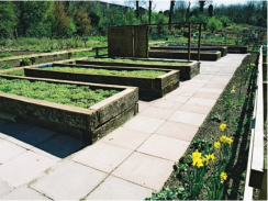 Allotments with raised beds set aside for wheelchair users