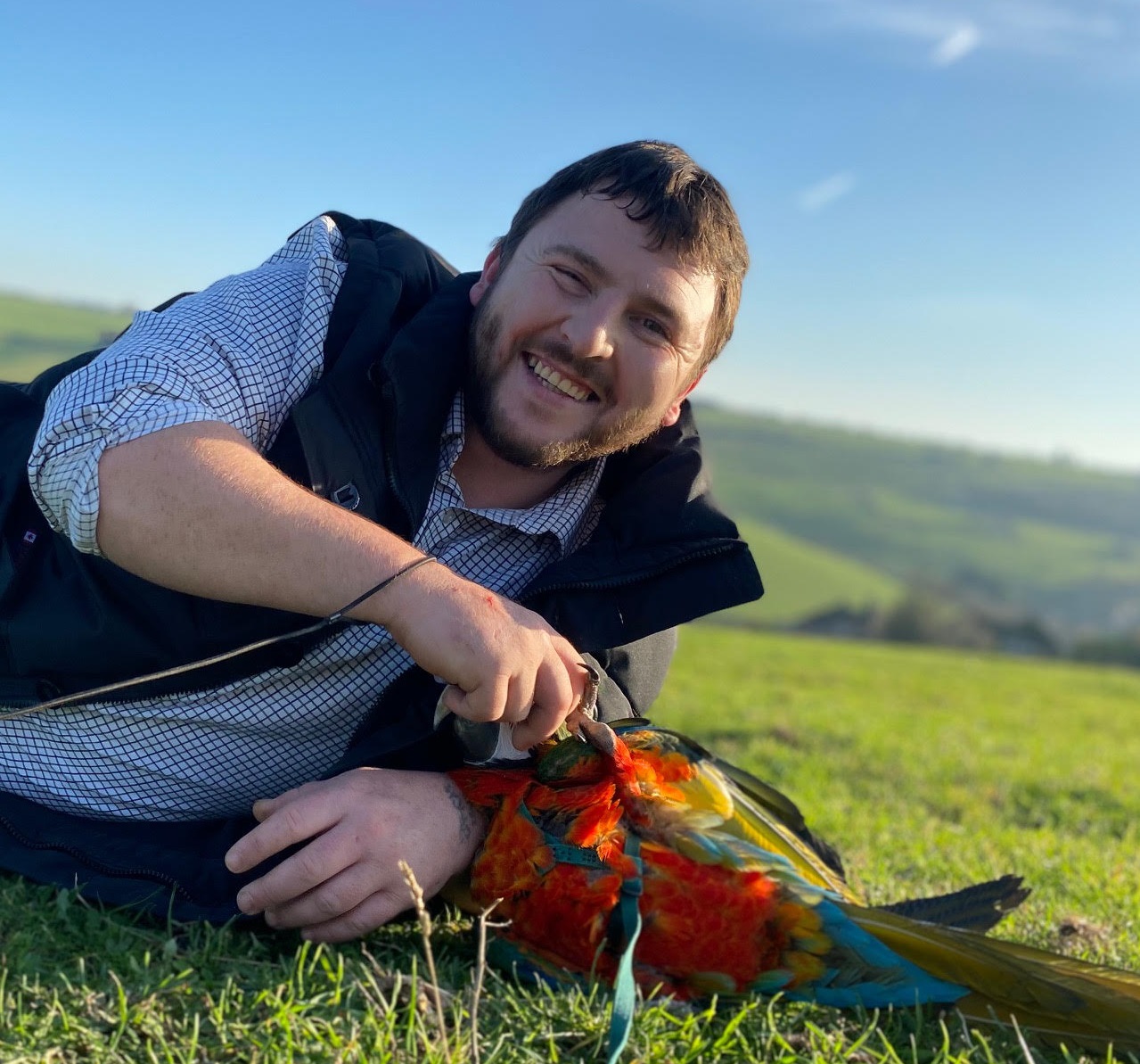 Man rescued after getting stuck up tree while chasing parrot