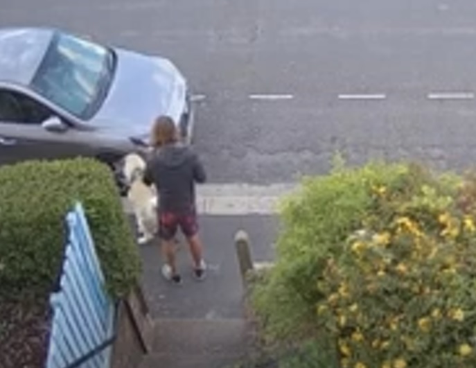 Man caught on camera leaving dog poo on pavement