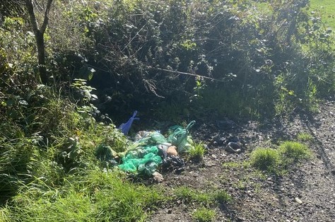 Dog poo bags dumped after council removes bin