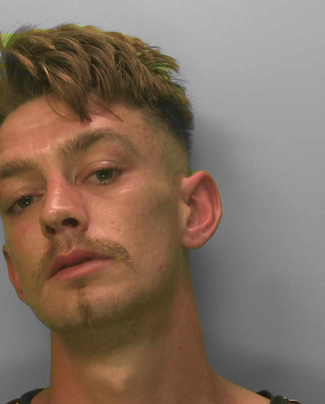 Thug jailed for assaulting police officers