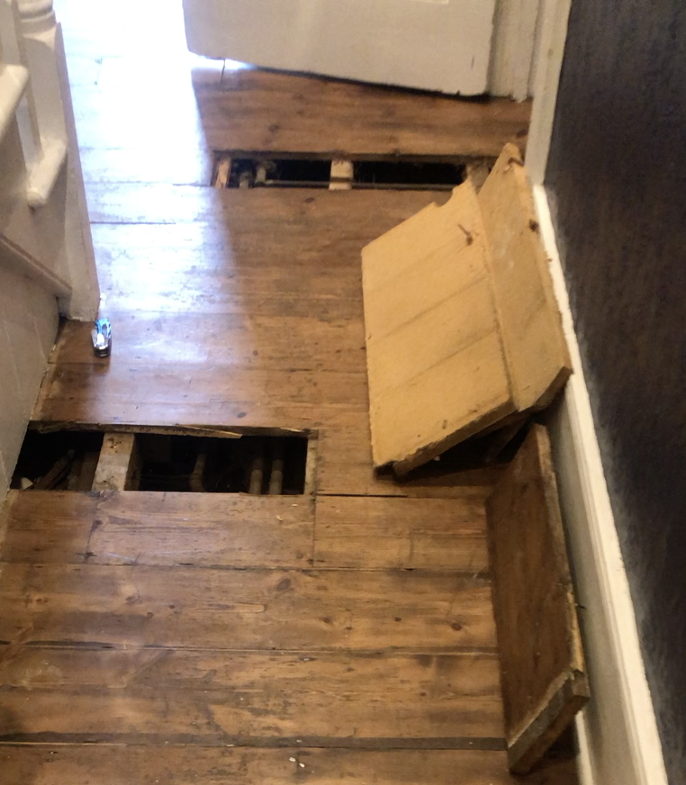 Cable contractors left ‘path of destruction’