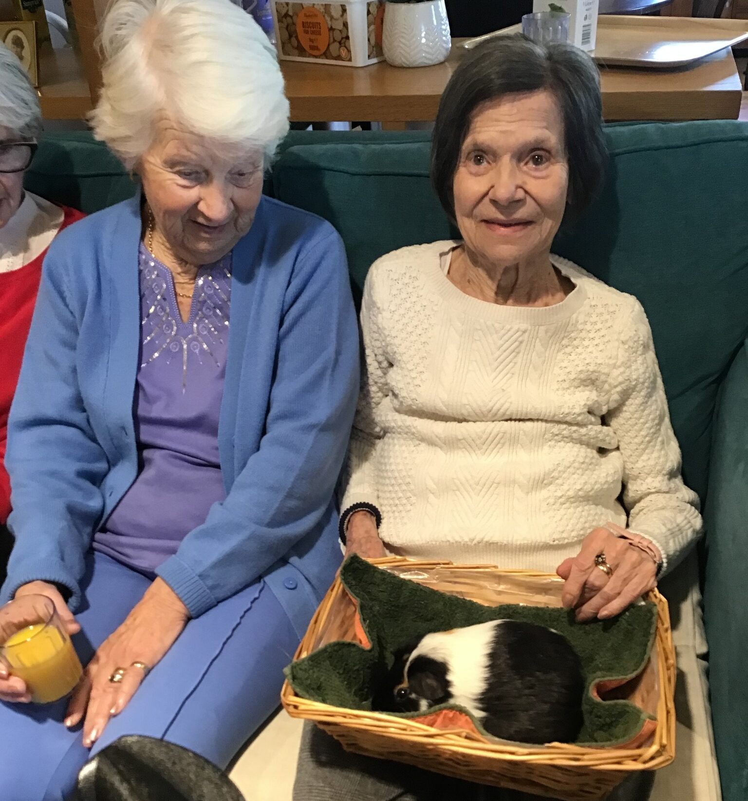 Woodingdean care home residents enjoy animal therapy session
