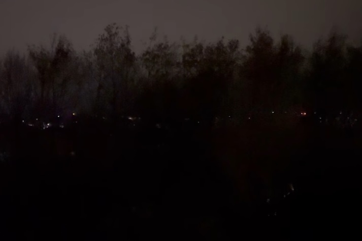 Night time tree felling gives neighbourhood sleepless nights