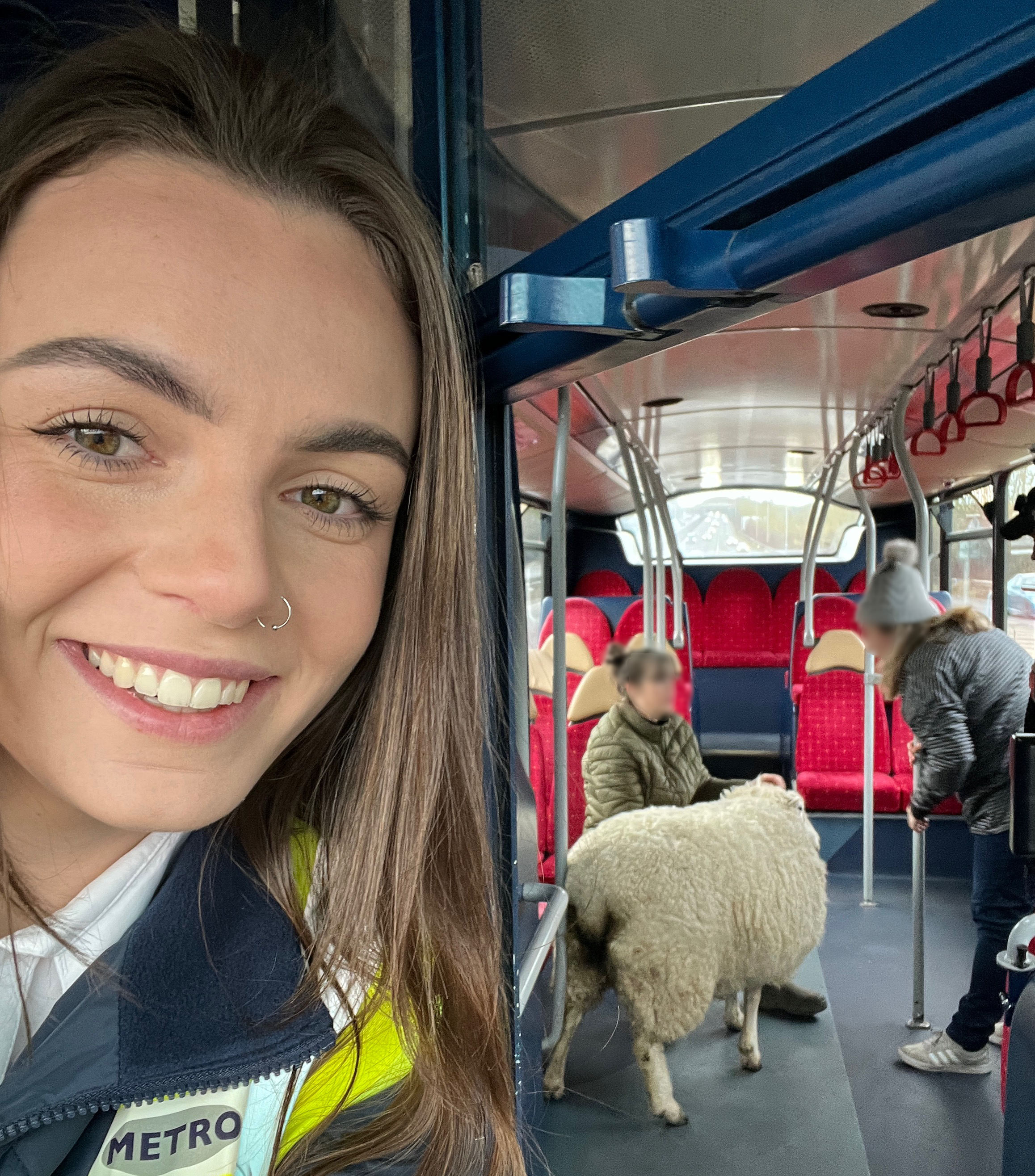 Bus driver rescues sheep from A27