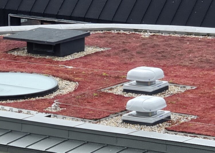 Soho House in talks with council planners over lurid red eco roof