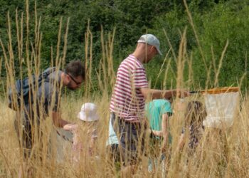 Wildlife and conservation groups lay on activity day