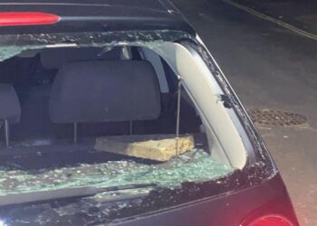 Vandals caught on camera smashing car windows